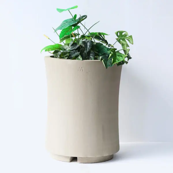 Vaso